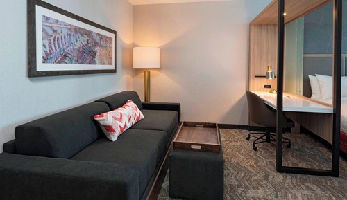 Suite, 1 King Bed (Mobility Accessible, Roll-In Shower)