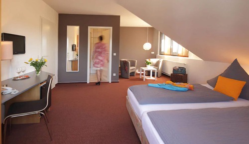 Comfort Double Room Single Use, Non Smoking