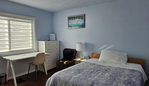Basic Single Room