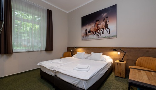 Standard Room, Garden View