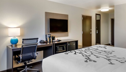 Standard Room, 1 King Bed, Accessible, Non Smoking (Roll-In Shower)