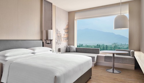 Premier Room, 1 Double Bed
