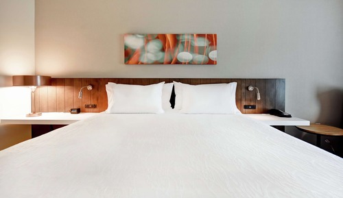 Room, 1 King Bed