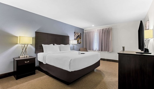 Suite, 1 King Bed, Non Smoking (with Sofabed)