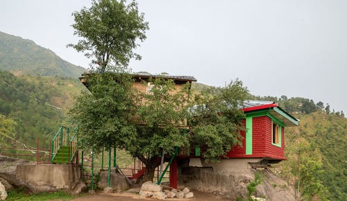 Tree House