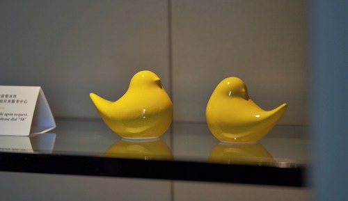 Premium Room, Multiple Beds