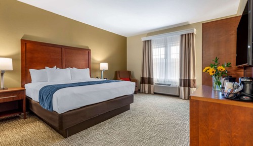 Room, 1 King Bed, Accessible, Non Smoking