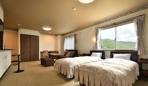 Deluxe Room, Non Smoking