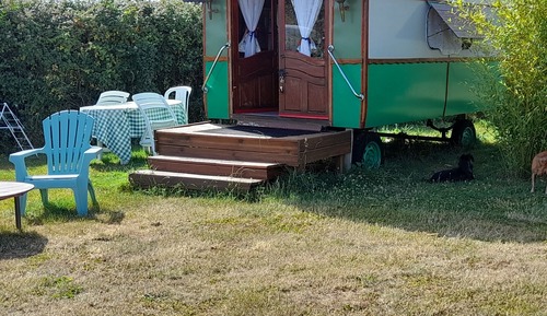 Classic Cabin, 1 Bedroom, Non Smoking, Park View