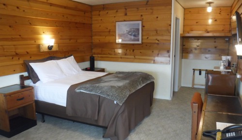 Room, 1 Queen Bed