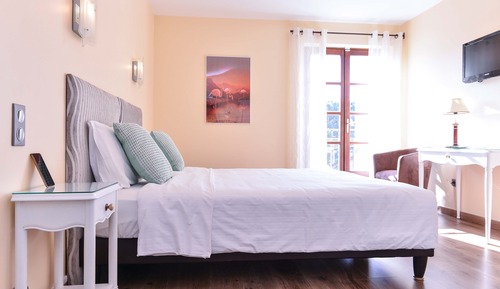 Superior Double or Twin Room, Mountain View