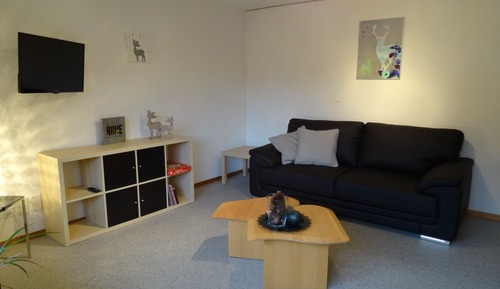 Apartment, 2 Bedrooms, Balcony, Mountain View