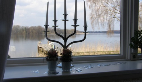 Single Room, Lake View
