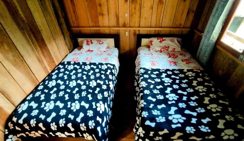 Basic Twin Room, Mountain View