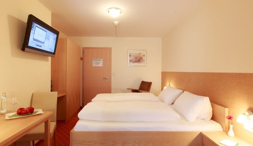 Double Room, Mountain View
