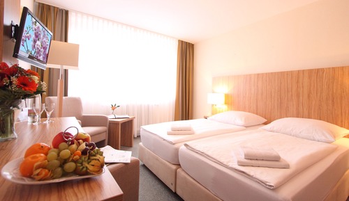 Double Room Single Use, Garden View