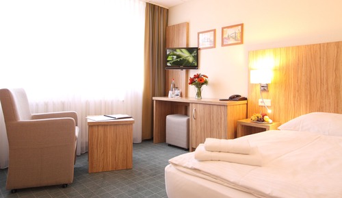 Comfort Single Room, Garden View