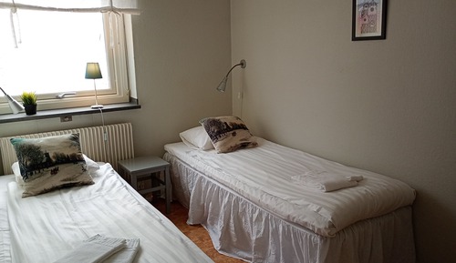 Basic Twin Room