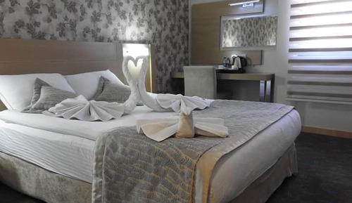 Suite, 1 Bedroom