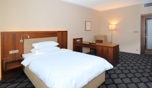 Superior Single Room