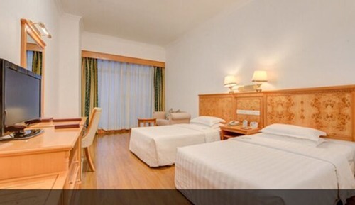 Room (Special Rate)