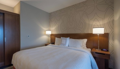 Room, 1 King Bed