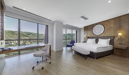 Deluxe Suite