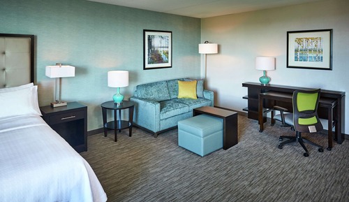 Studio, 1 King Bed, Accessible, Lake View (Mobility & Hearing, Bathtub)