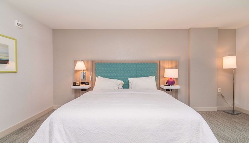 Room, 1 King Bed, Handicap Accessible, Non Smoking (Mobility & Hearing, Roll-in Shower)