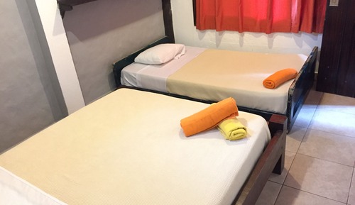Basic Triple Room