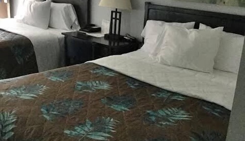 Standard Room, 2 Double Beds, Non Smoking