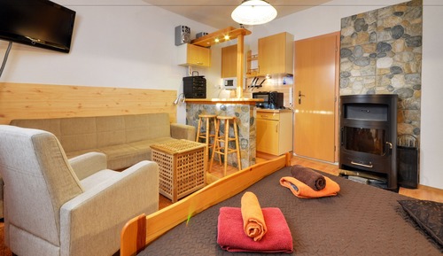 Economy Studio, 1 Bedroom, Refrigerator & Microwave