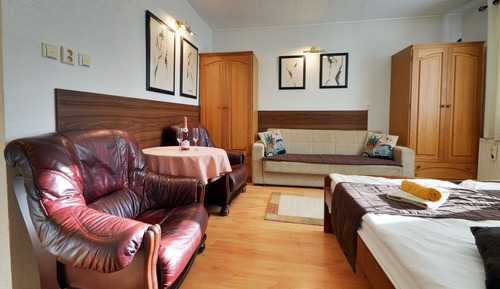Comfort Studio, 1 Bedroom, Kitchenette, City View