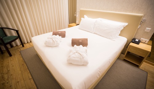 Standard Double Room Single Use