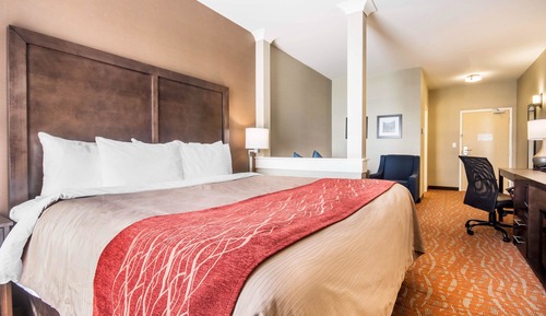 Suite, 1 King Bed with Sofa bed, Non Smoking (2 Person Sofa Bed)