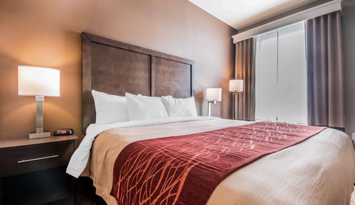 Standard Room, 1 King Bed, Non Smoking