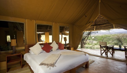 Family Tent