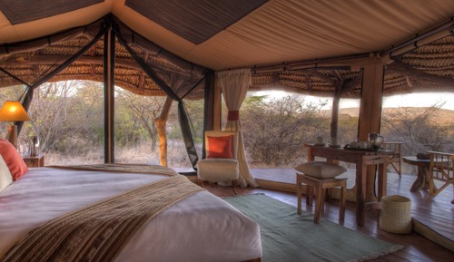 Standard Tent