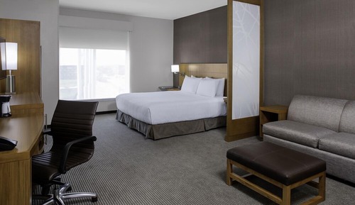 Room, 1 King Bed with Sofa bed