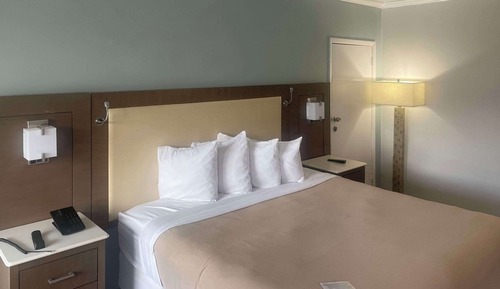 Standard Room, 1 King Bed, Non Smoking, Pool View