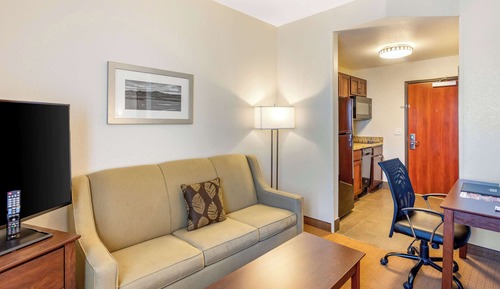 Suite, 1 Queen Bed with Sofa bed, Non Smoking (Efficiency, 2 Person Sofa bed)