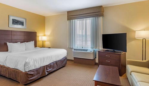 Suite, 1 King Bed with Sofa bed, Accessible, Non Smoking (Efficiency)