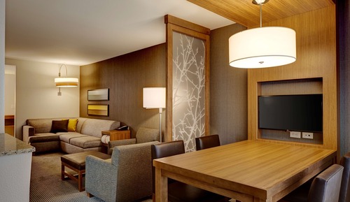 Suite, 1 King Bed with Sofa bed