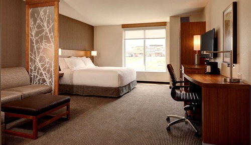 Room, 1 King Bed with Sofa bed, Accessible (With Shower)