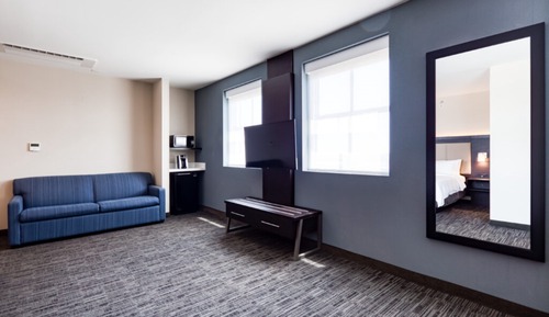 Standard Room, 1 King Bed with Sofa bed, Accessible (Comm)