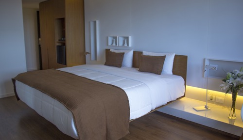 Room, 1 King Bed, Accessible, Non Smoking