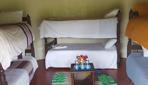 Shared Dormitory, Garden View