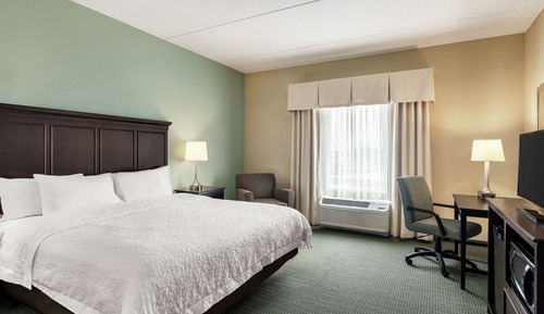 Room, 1 King Bed with Sofa bed, Accessible, Non Smoking (Roll In Shower)