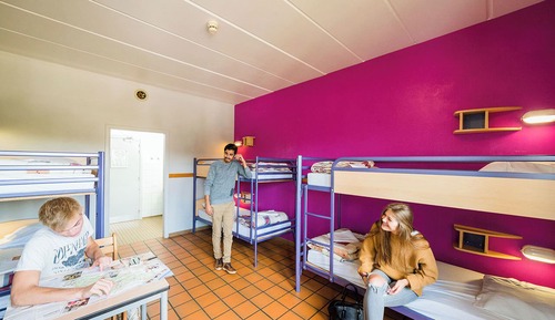 Shared Dormitory, Mixed Dorm