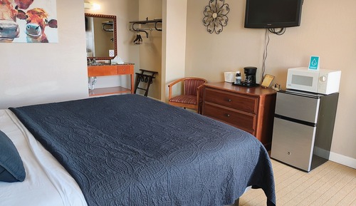 Economy Room, 1 King Bed